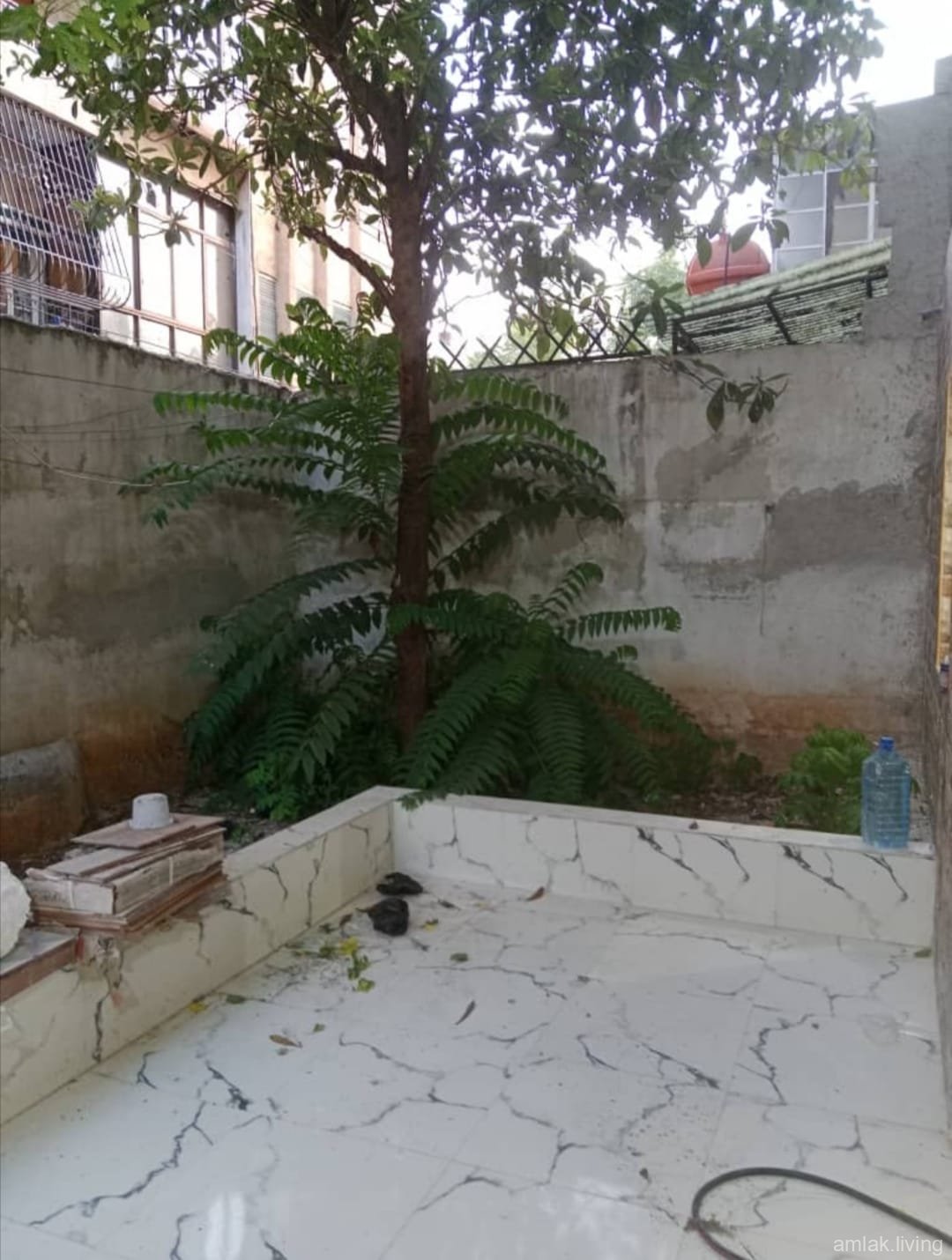 صورة العقار