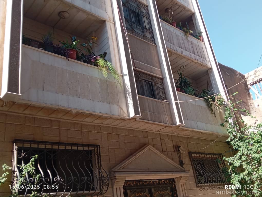 صورة العقار