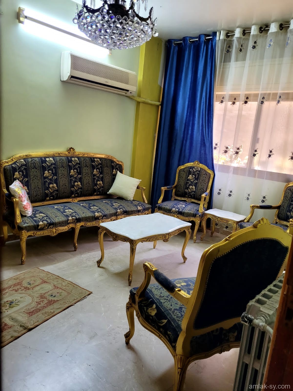 صورة العقار