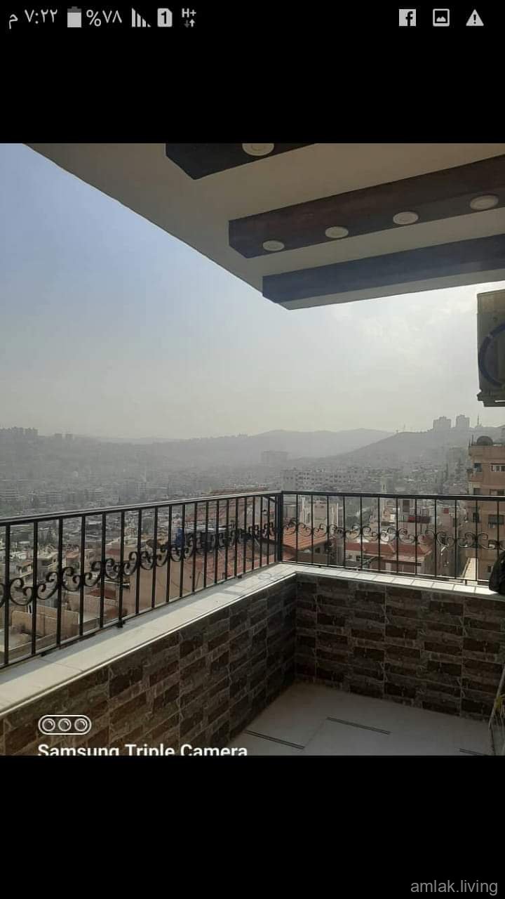 صورة العقار