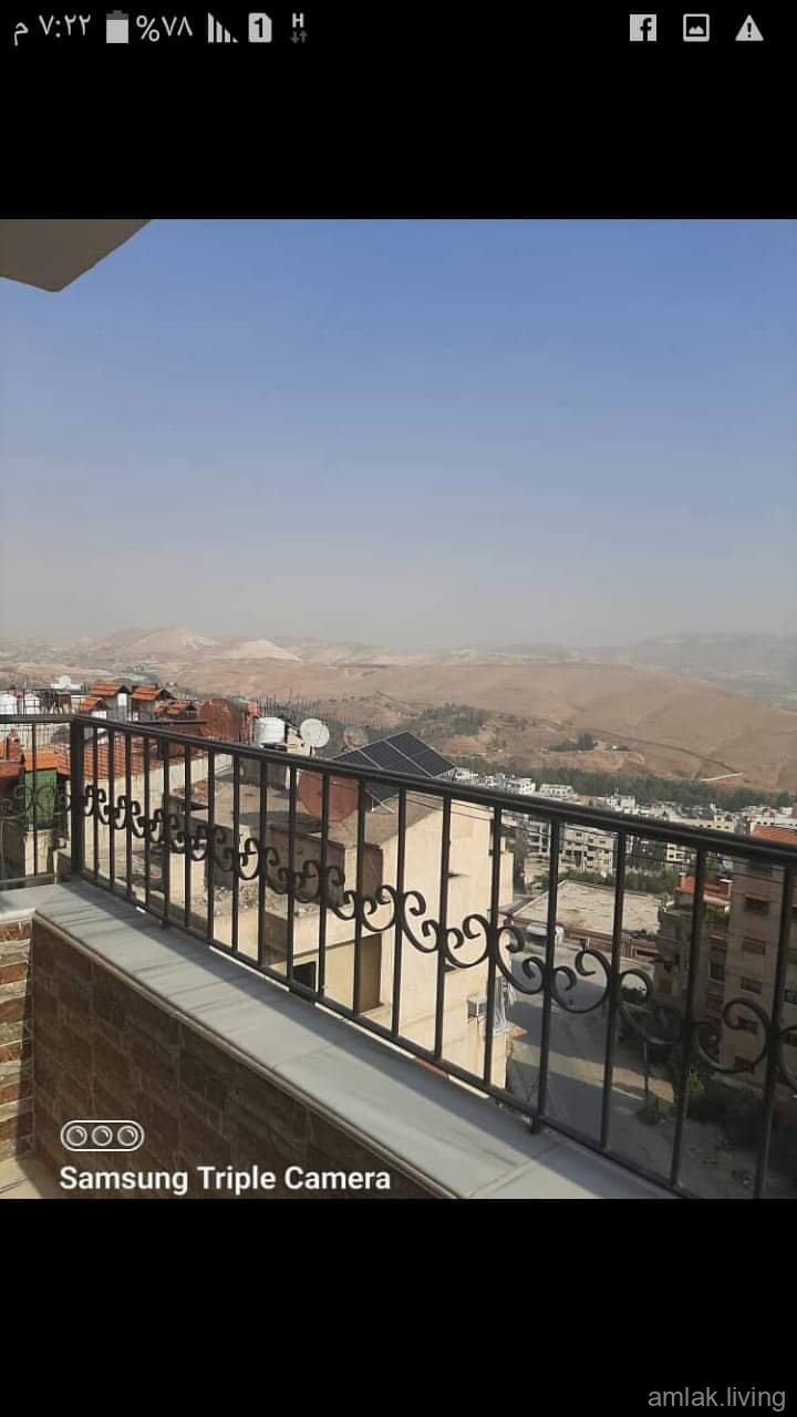 صورة العقار