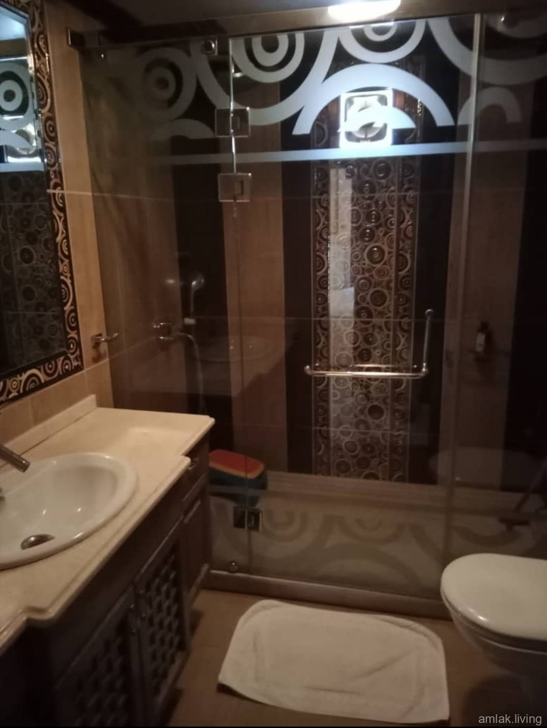صورة العقار
