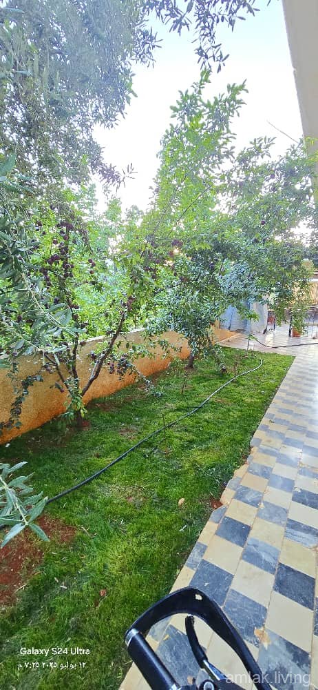صورة العقار