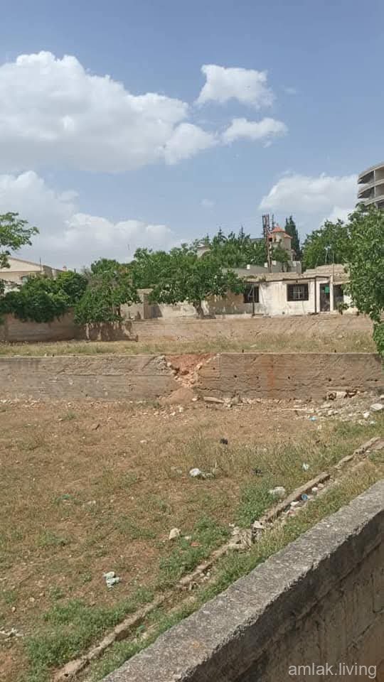 صورة العقار
