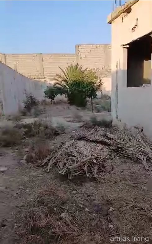 صورة العقار