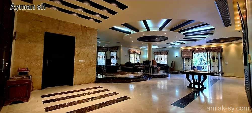 صورة العقار