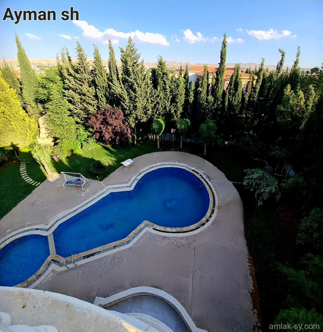 صورة العقار
