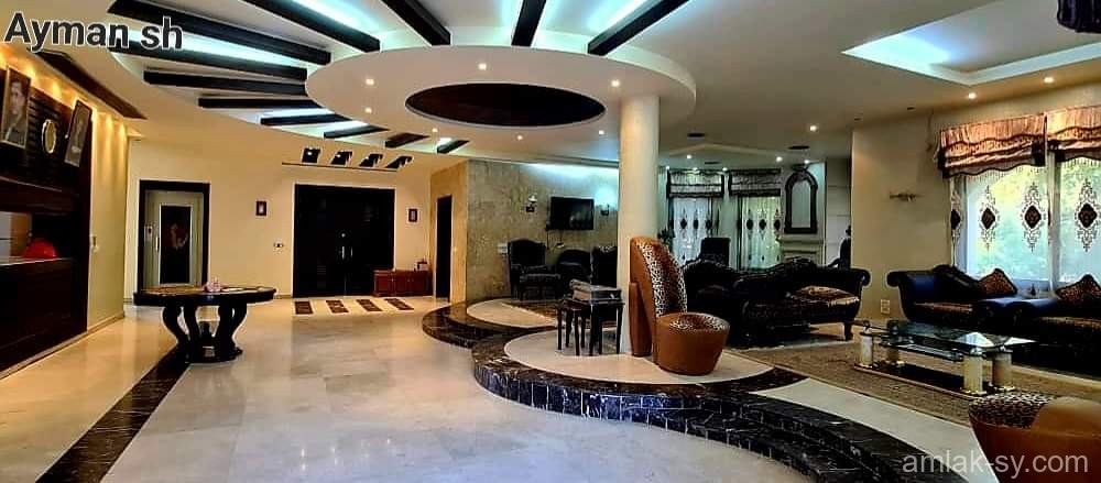 صورة العقار