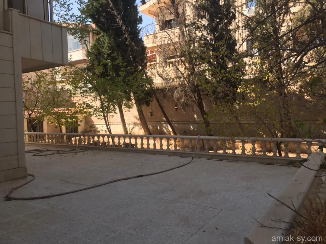 صورة العقار