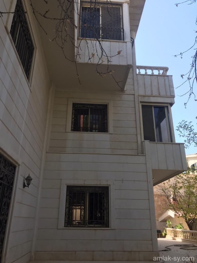 صورة العقار