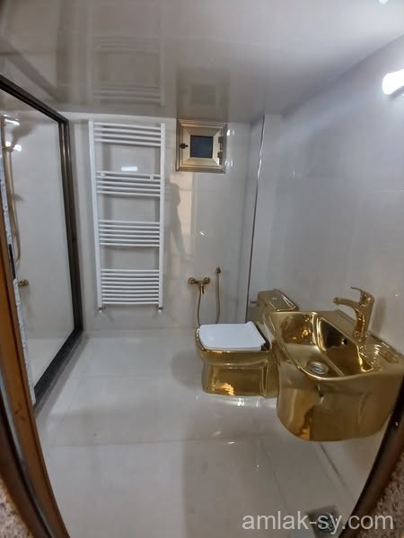 صورة العقار