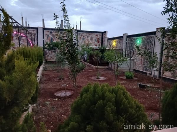 صورة العقار