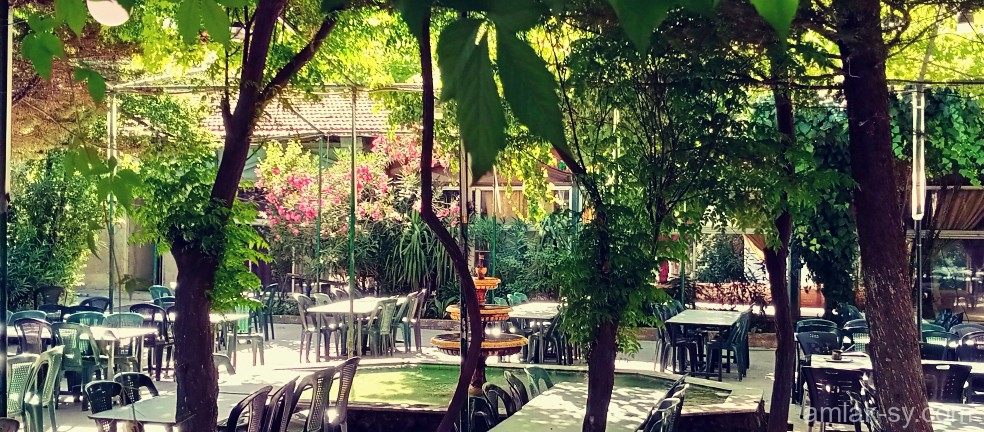 صورة العقار