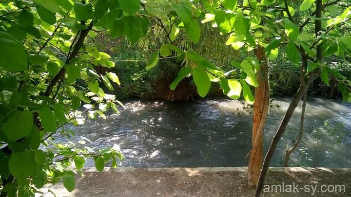 صورة العقار