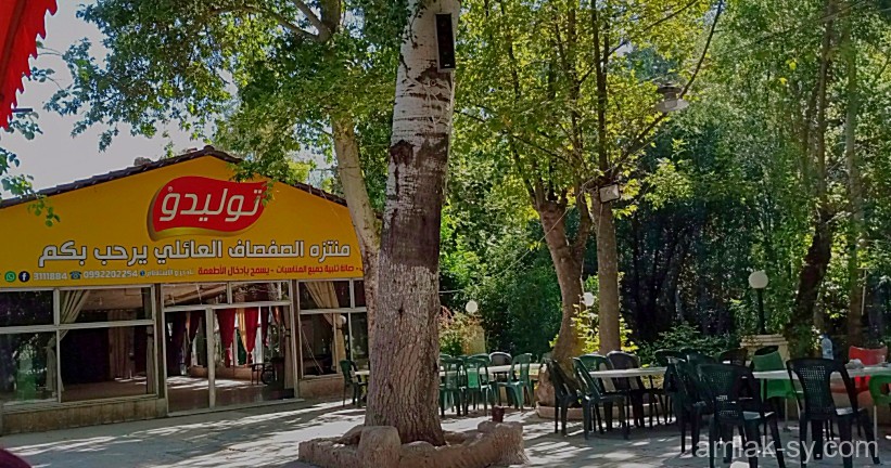 صورة العقار