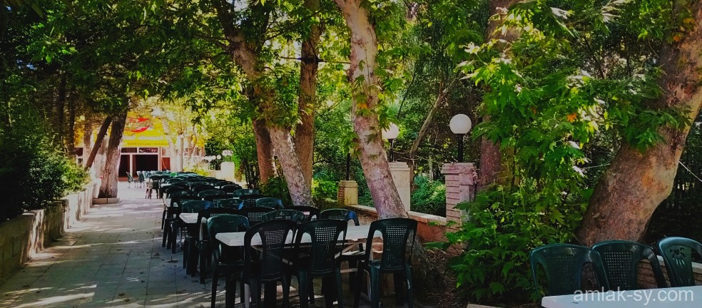 صورة العقار