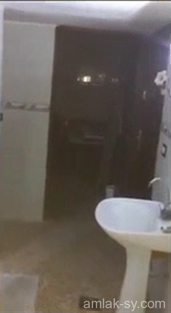 صورة العقار