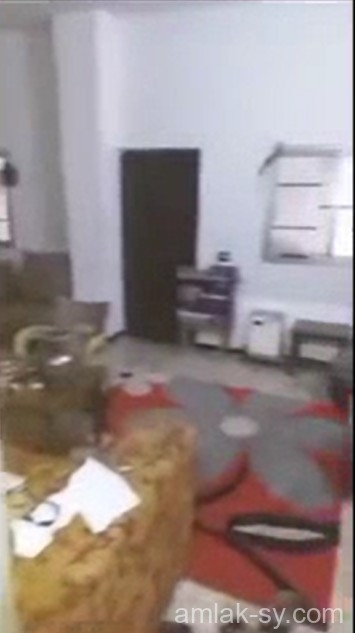 صورة العقار