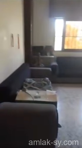 صورة العقار