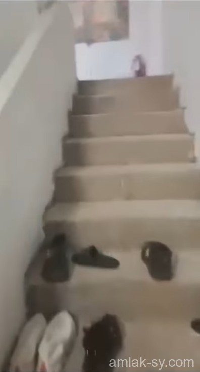 صورة العقار