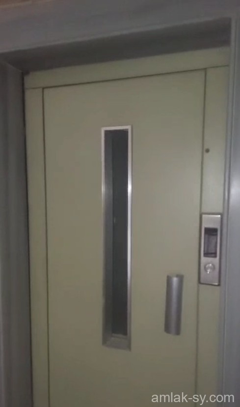 صورة العقار