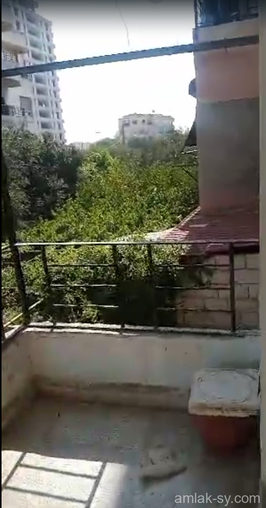صورة العقار