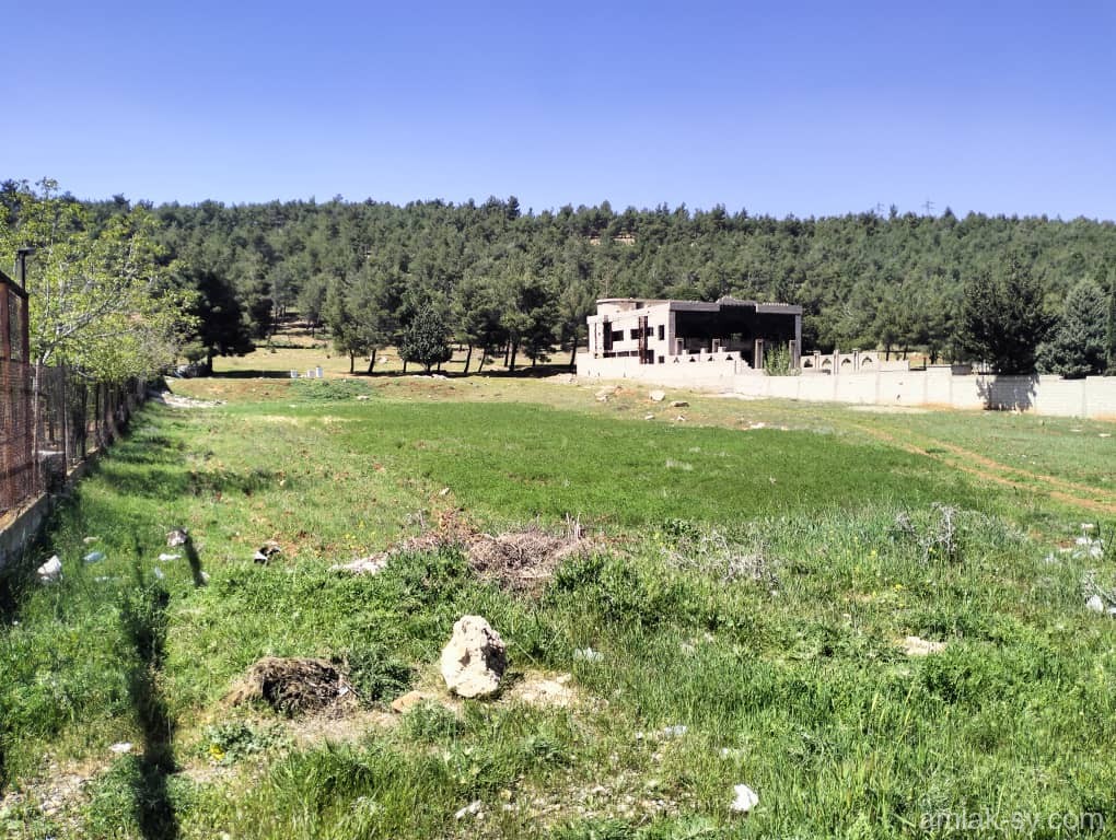 للبيع أرض 2دونم  بالزبداني على مفرق بيروت 