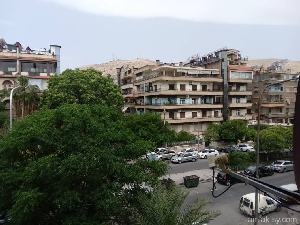 صورة العقار