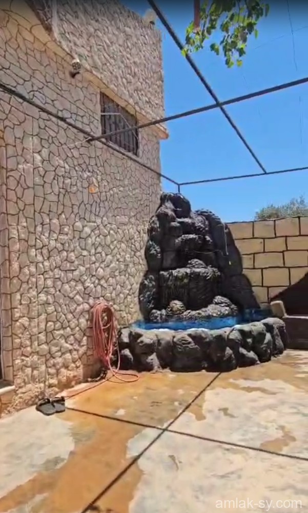 صورة العقار