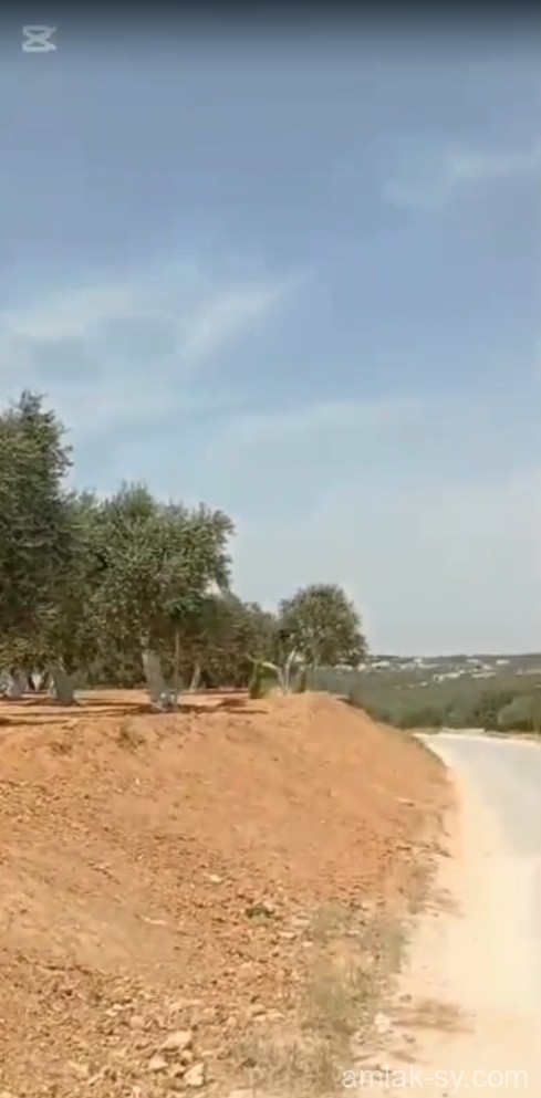 صورة العقار