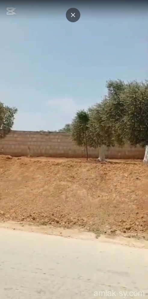 صورة العقار