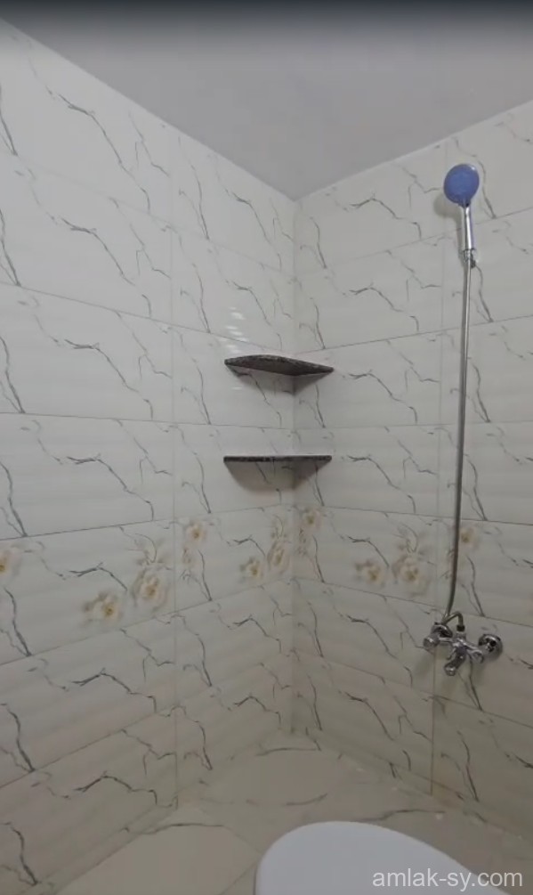 صورة العقار