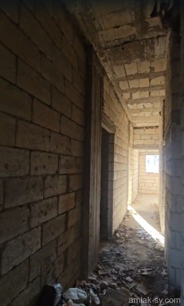 صورة العقار