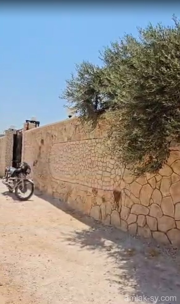صورة العقار