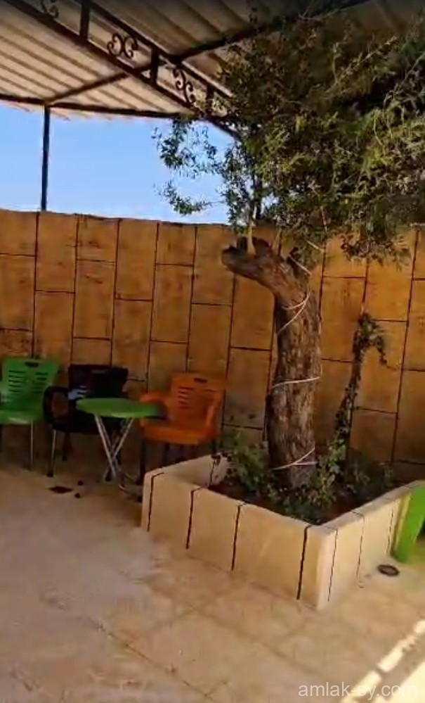 صورة العقار
