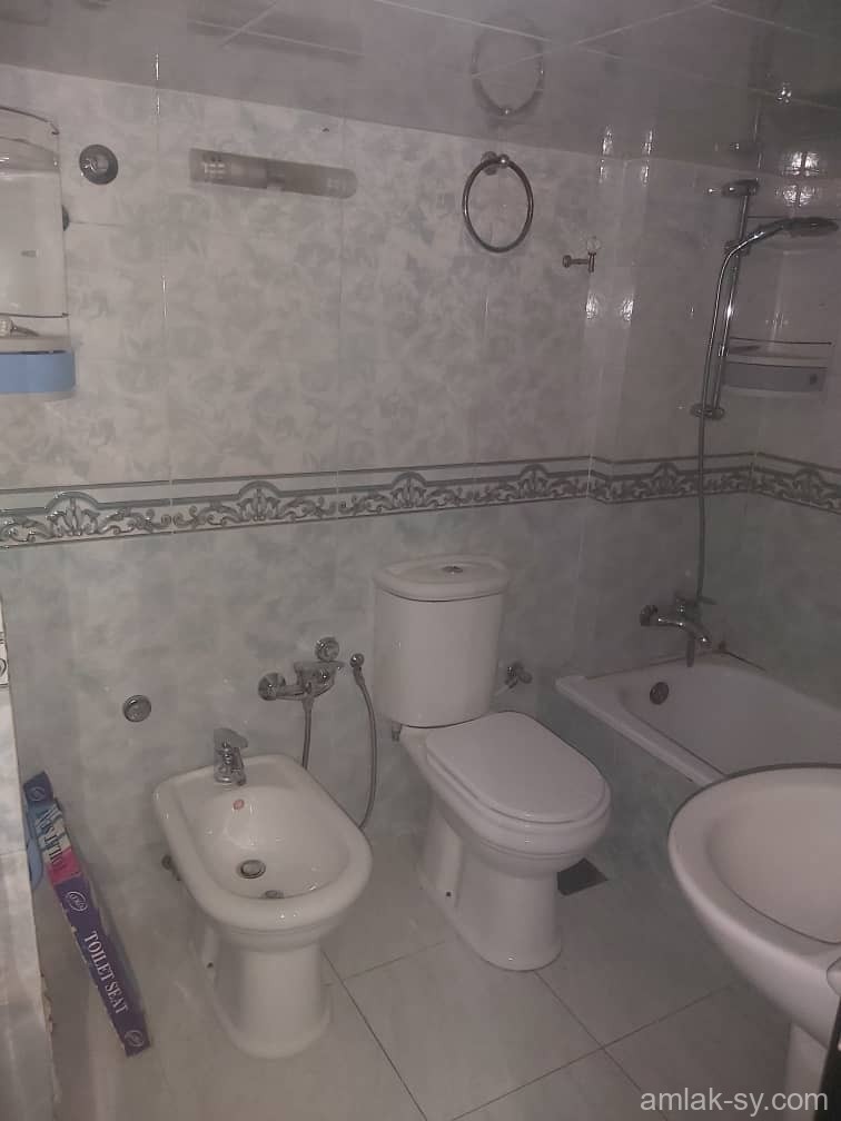 صورة العقار