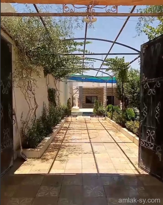صورة العقار