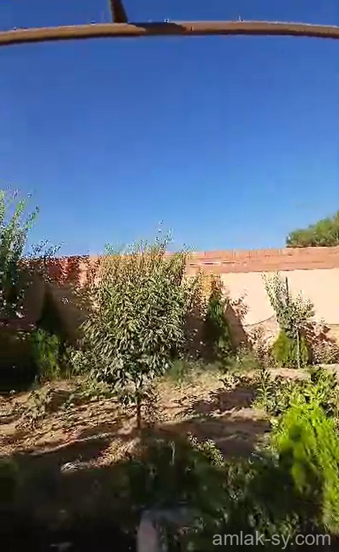 صورة العقار