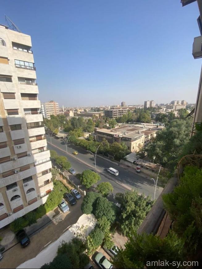 صورة العقار