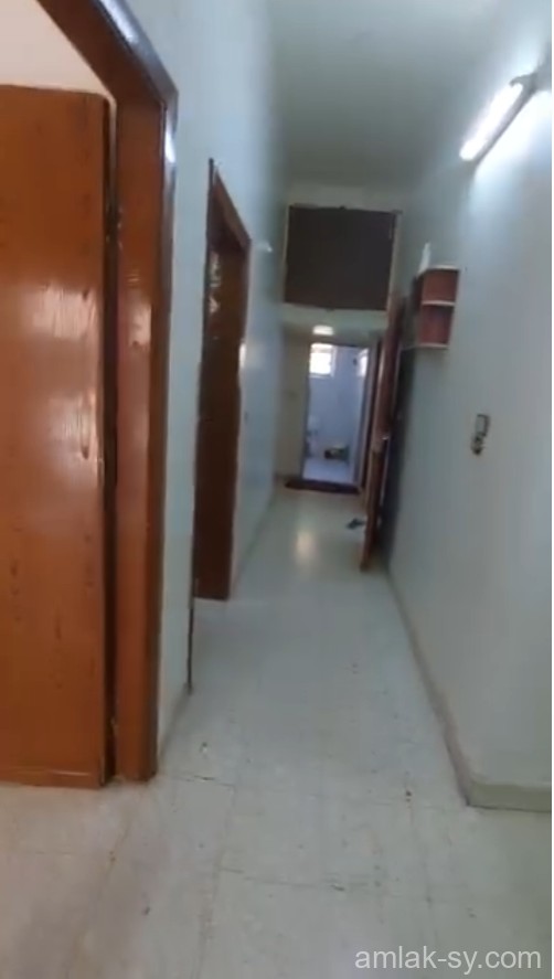 صورة العقار