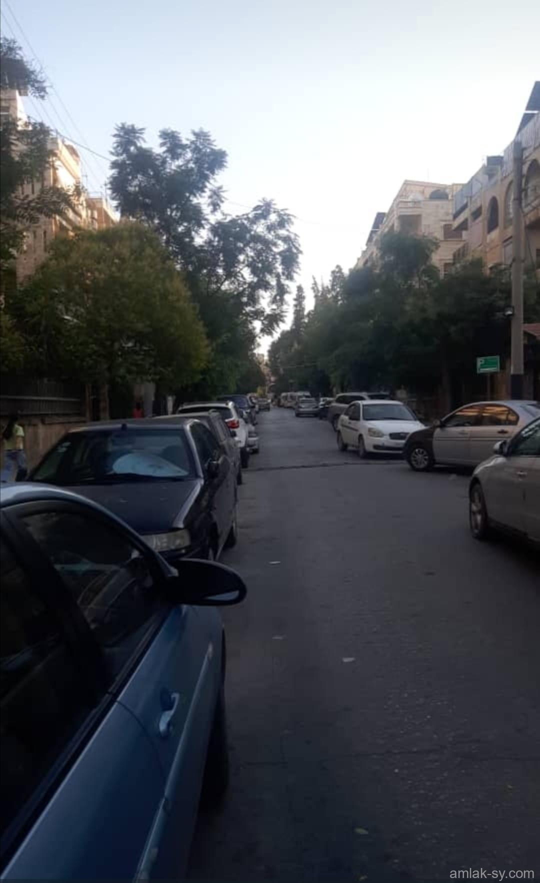 صورة العقار