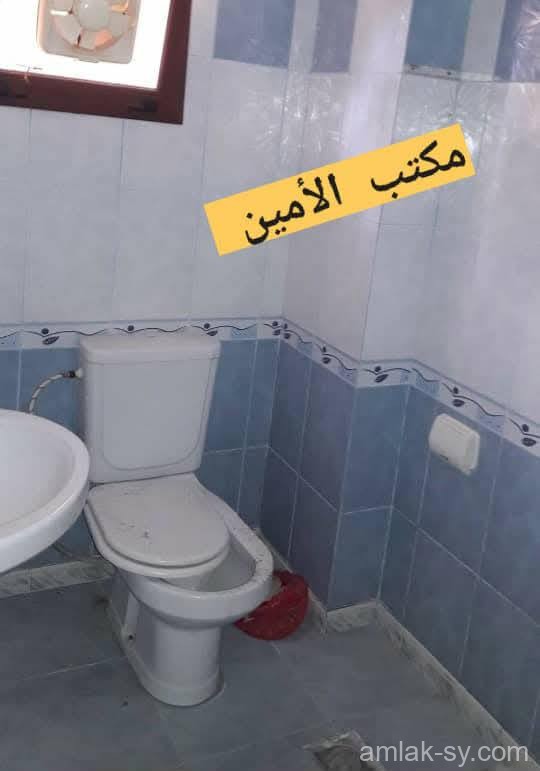 صورة العقار