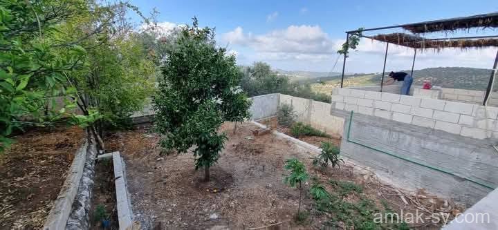صورة العقار