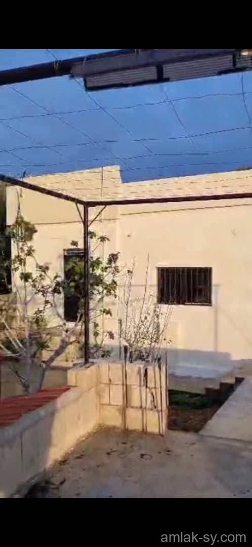 صورة العقار