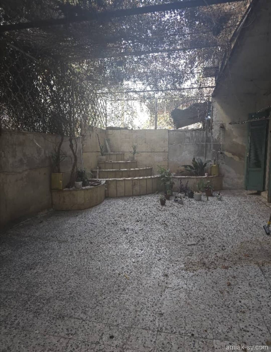 صورة العقار