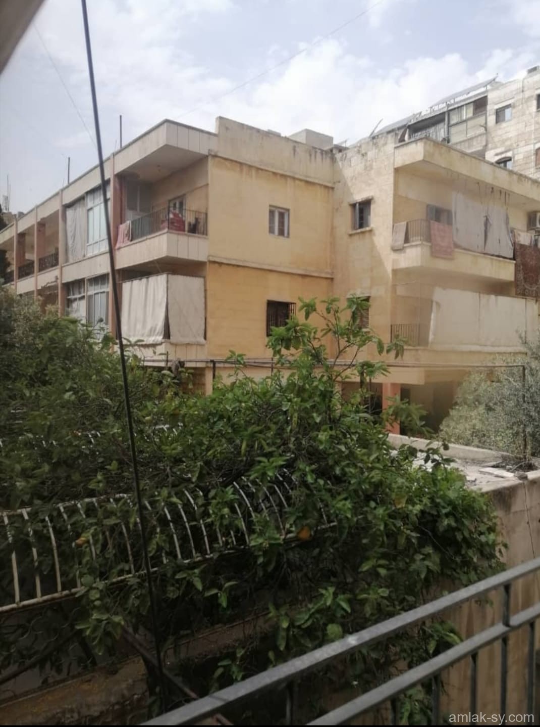 صورة العقار