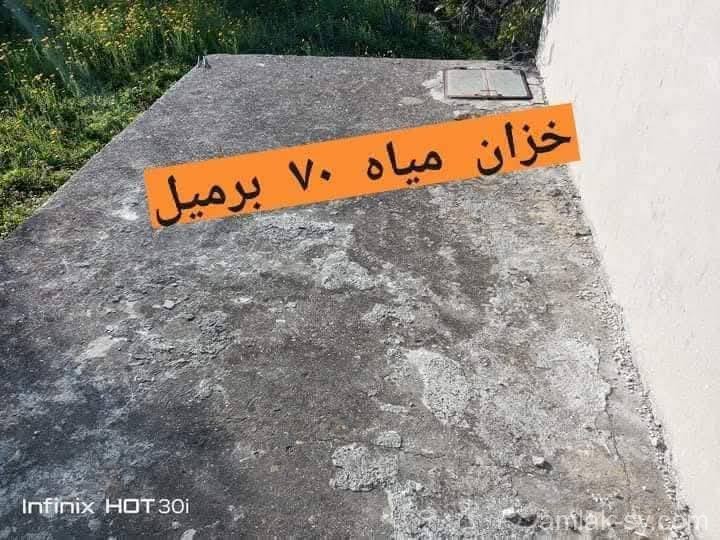 صورة العقار