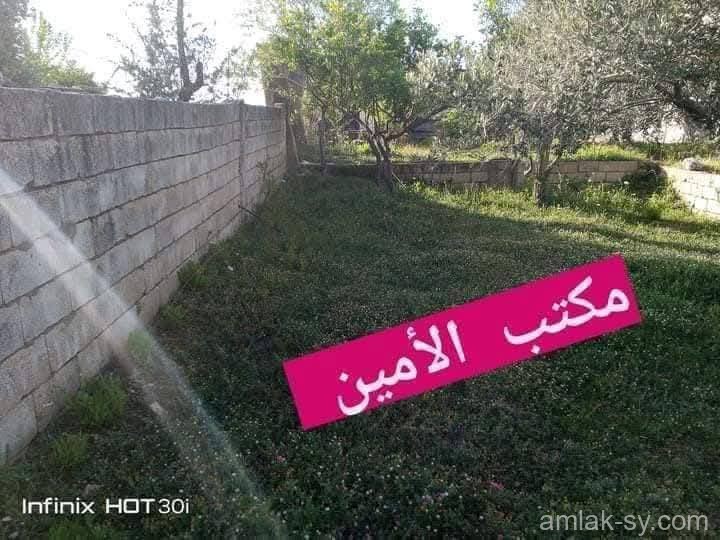 صورة العقار