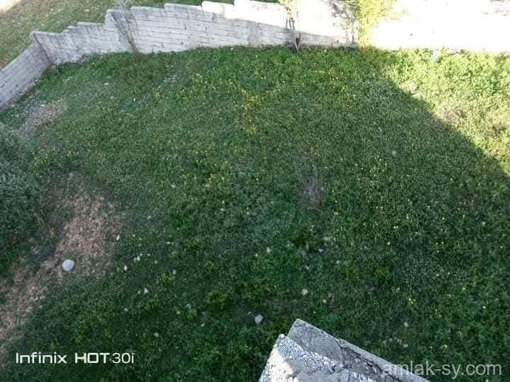 صورة العقار