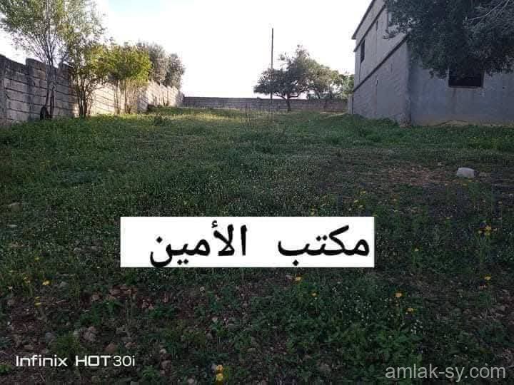 صورة العقار